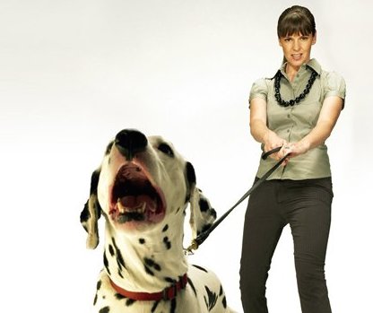 Its Me Or The Dog
